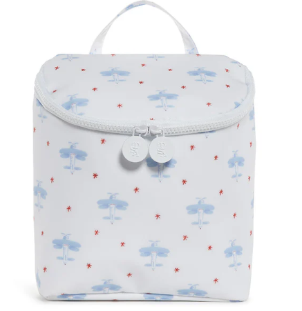 David's Airplane- Take Away Insulated Lunch Bag