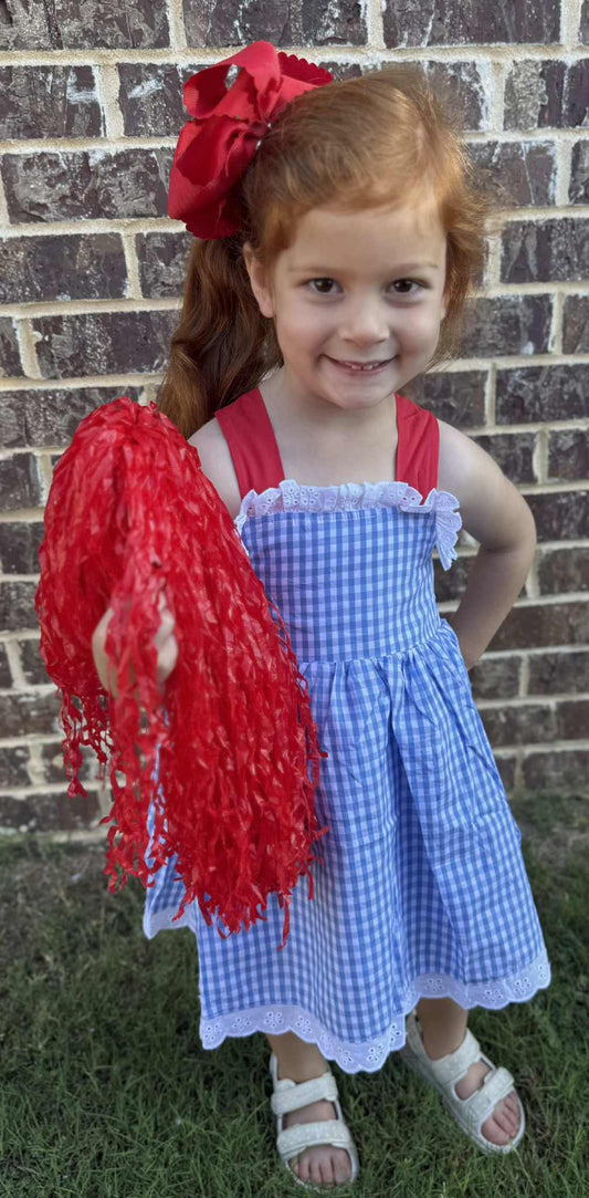 Powder Blue and Red Gingham Bowback Dress